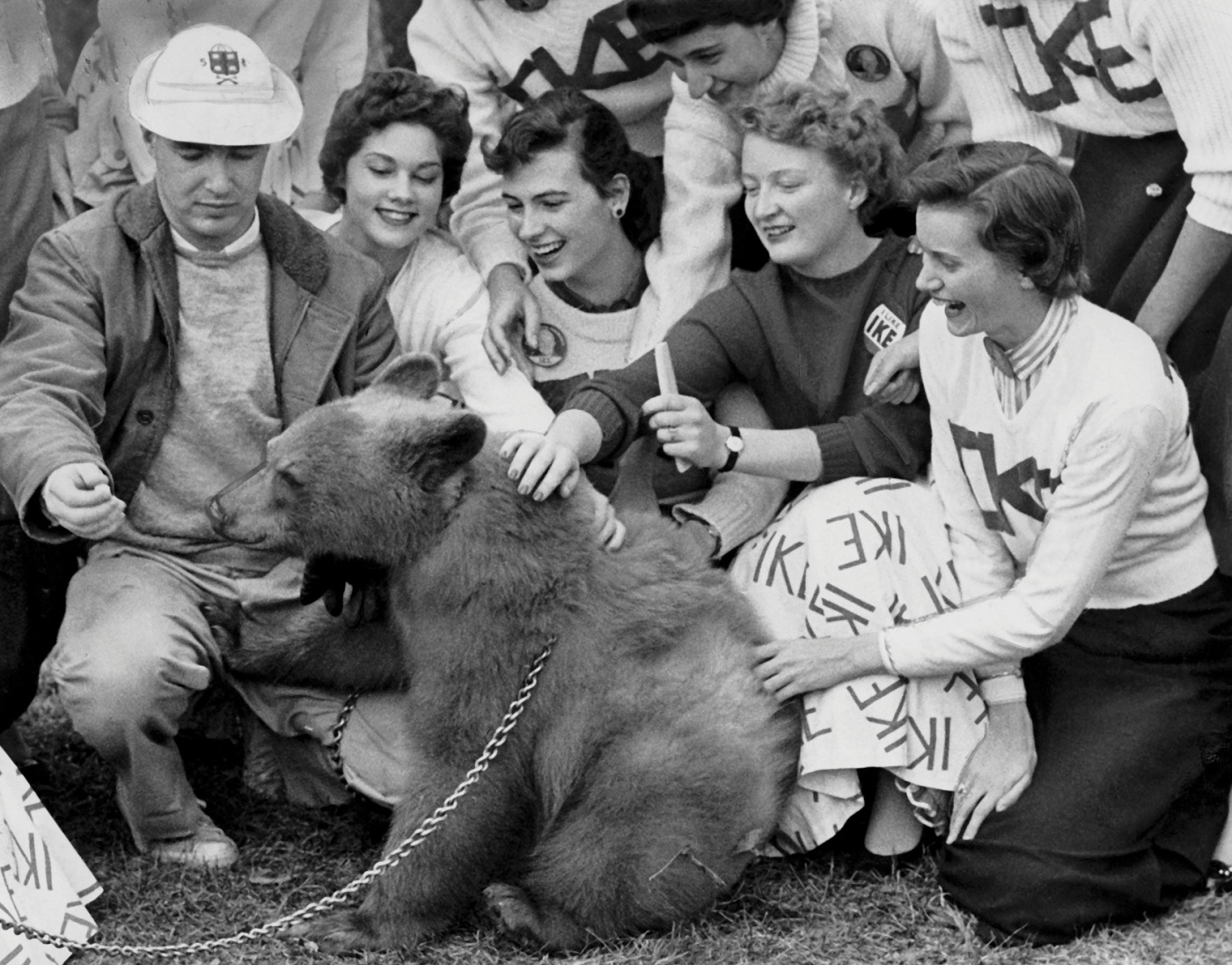 A vintage photograph of a bear being petted by humans.