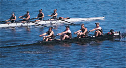 sp.rowers.jpg