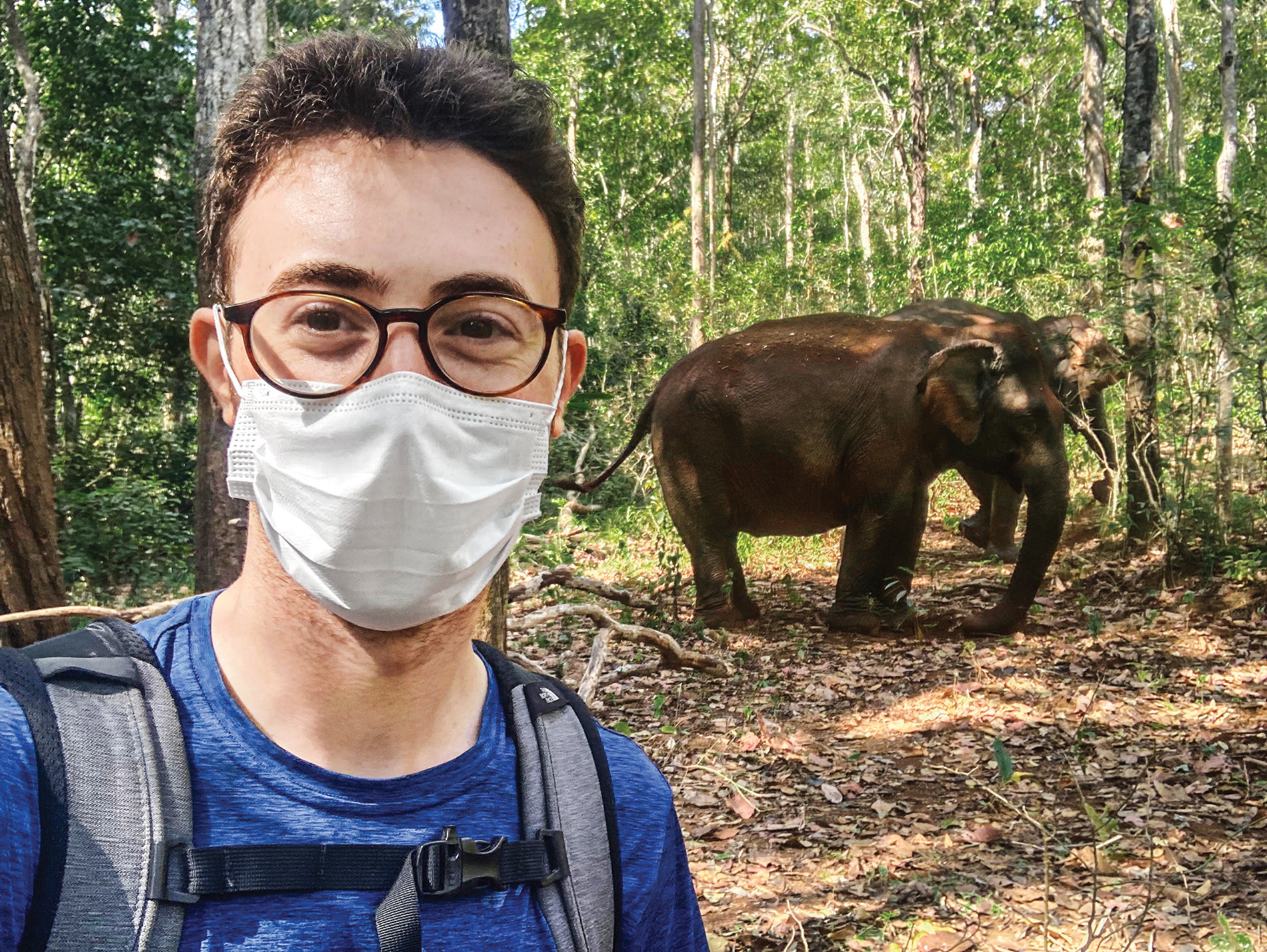 Image of Jack Brook and elephants