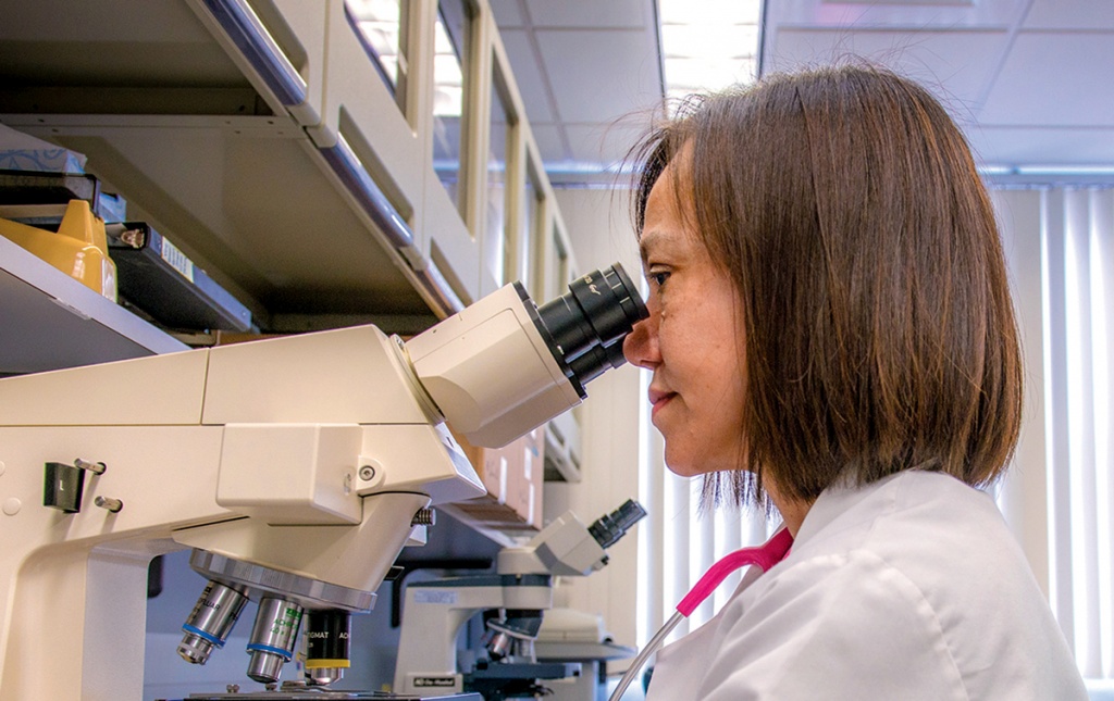 Susan Cu-Uvin MD looking into a microscope in a lab.