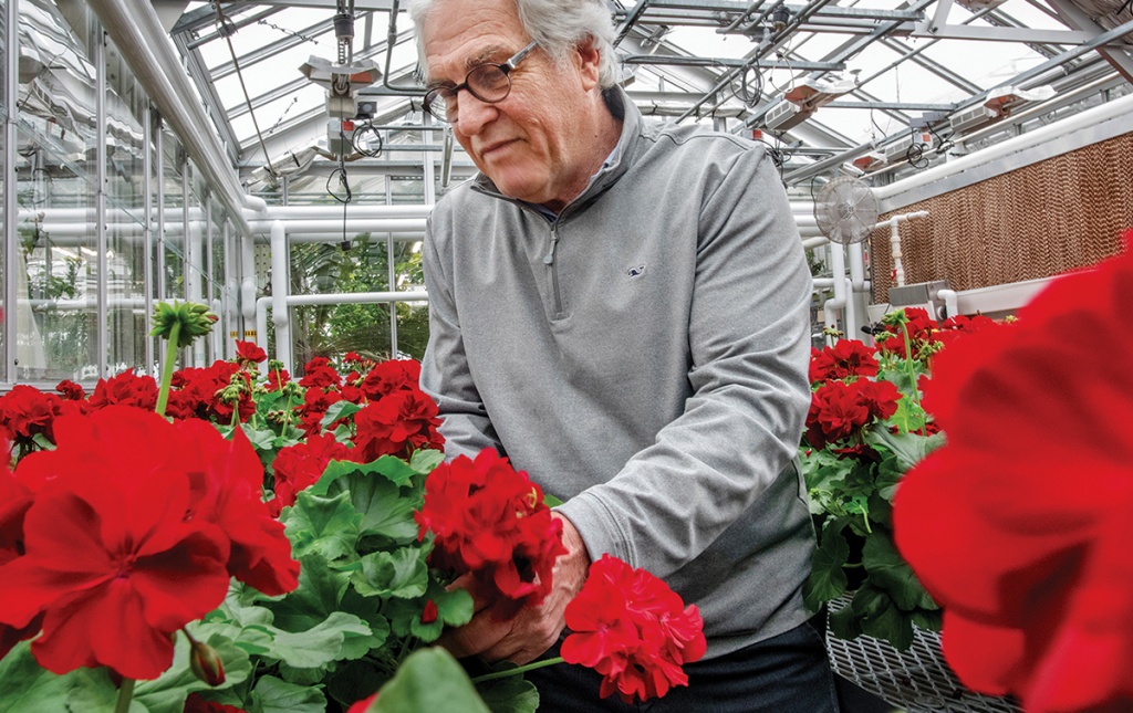 Jackson, director of Brown’s Plant Environmental Center, with his hand-tended Commencement geraniums