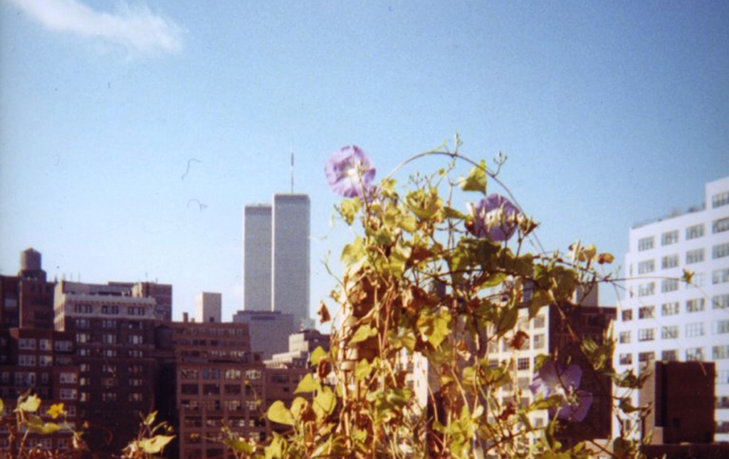 Image of the World Trade Center towers