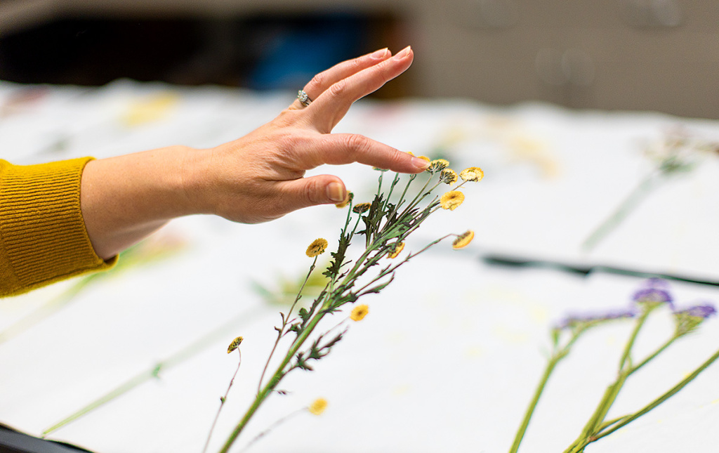 Pressed flowers