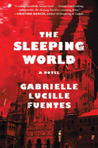 Image of book cover for 'The Sleeping World': a blurry red and black image.