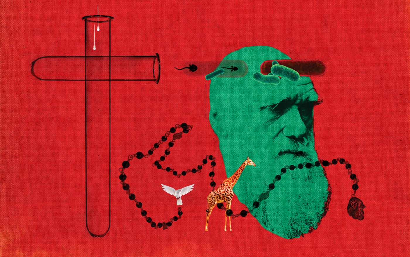 Illustration of Charles Darwin, test tubes, and a Catholic rosary.