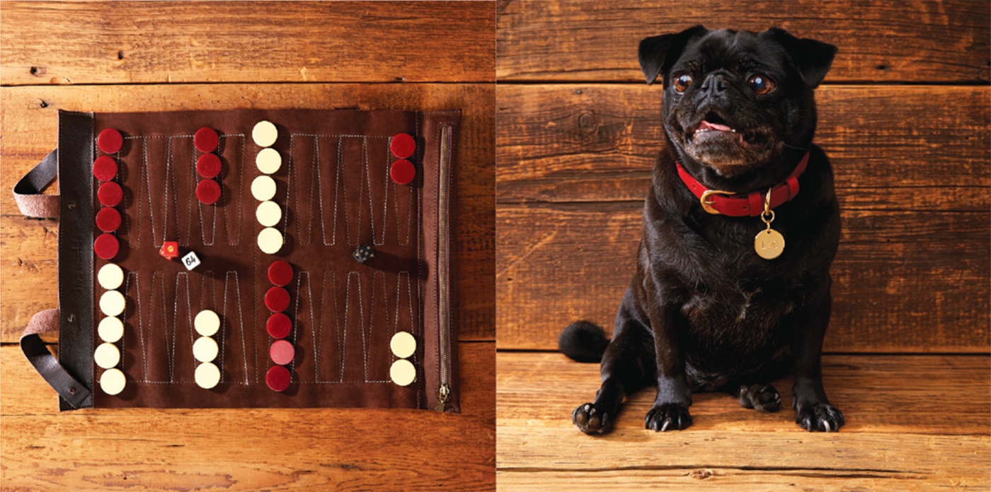 Backgammon set and dog collar