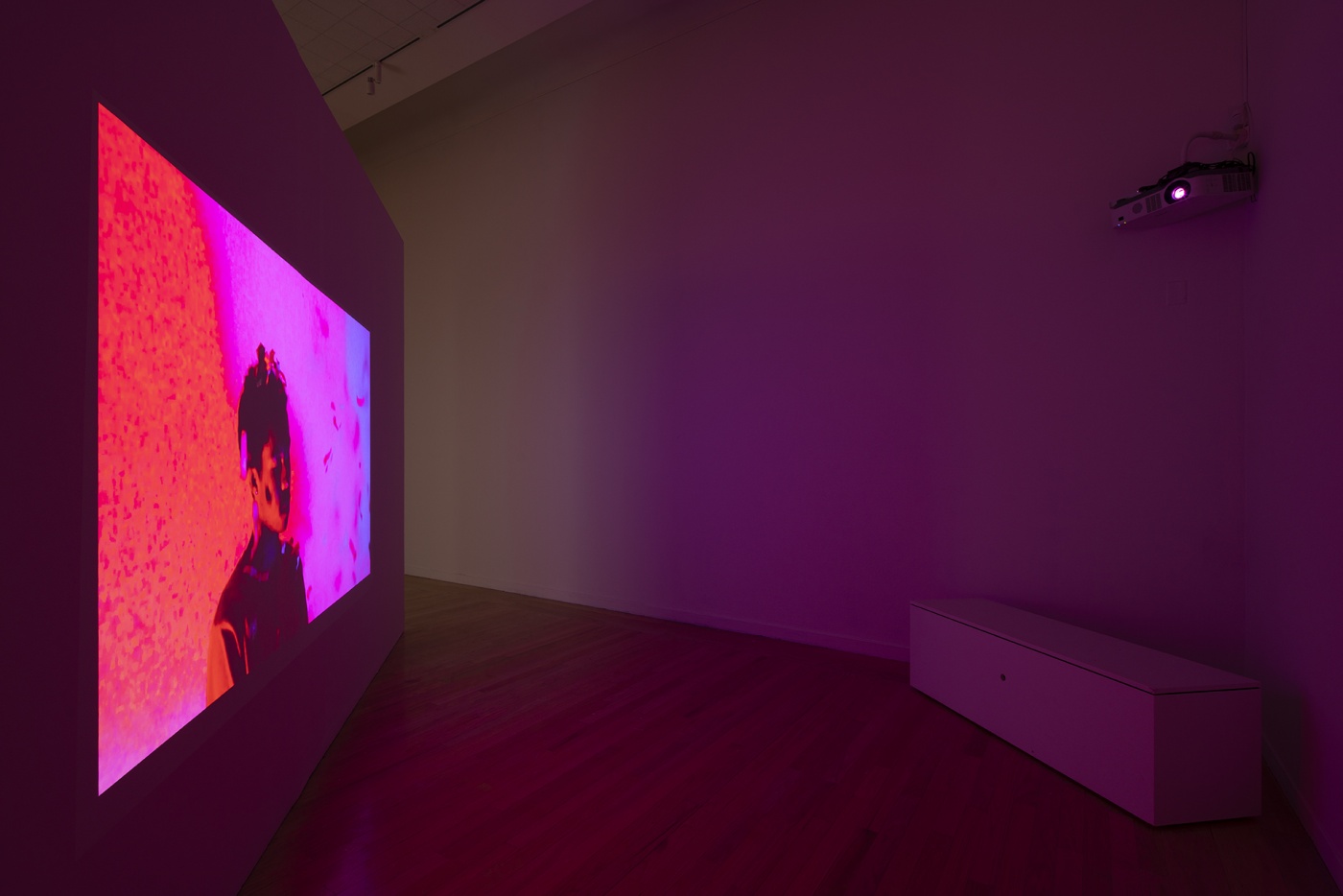 slide 6_“Jibade-Khalil Huffman: Now That I Can Dance,” 2020. Tufts University Art Galleries, installation view.