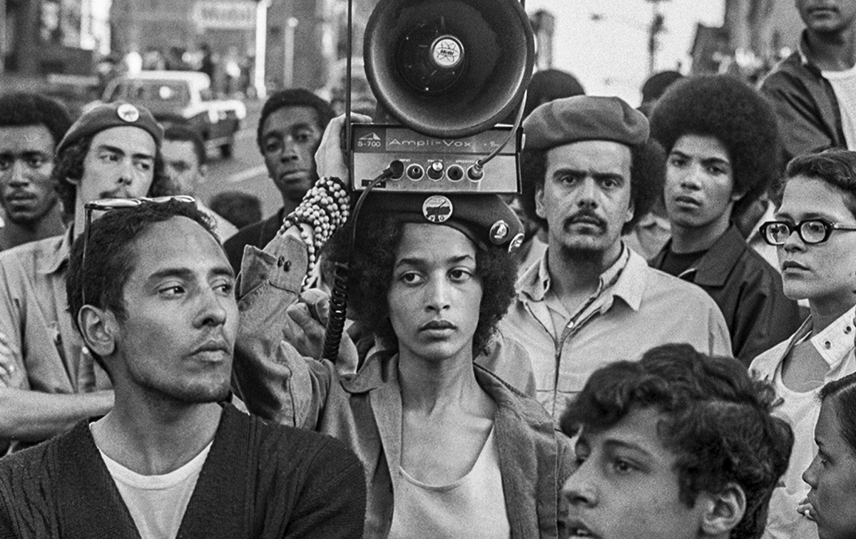 The Young Lords, Johanna Fernández