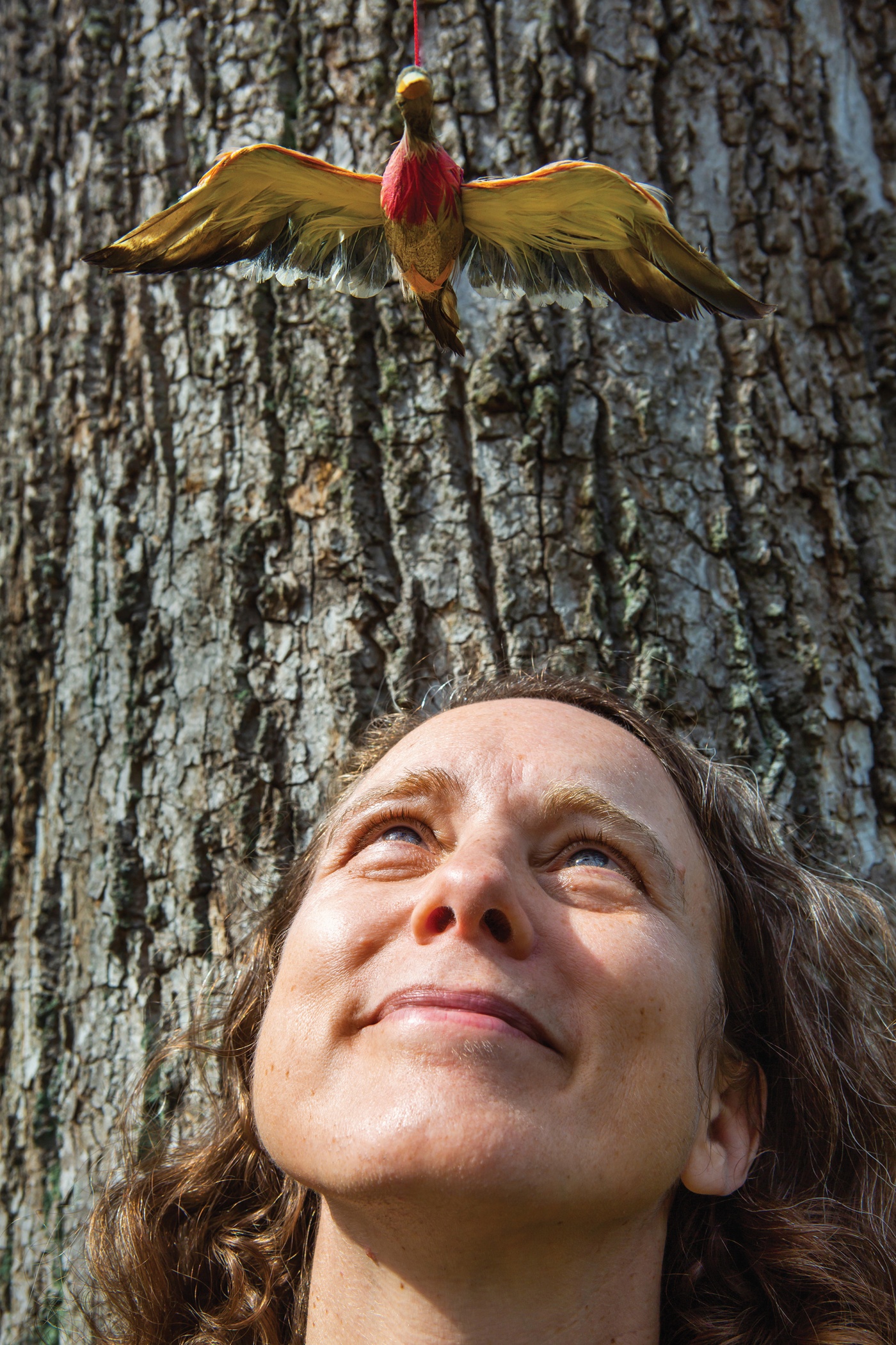 Elizabeth Hargrave's Wingspan Combines Bird Watching And Board