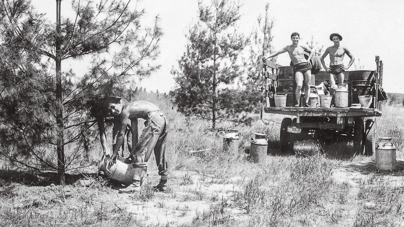 Image of a worker for the Civilian Conservation Corps watering a recently planted pine tree at the University of Wisconsin Arboretum in 1936.