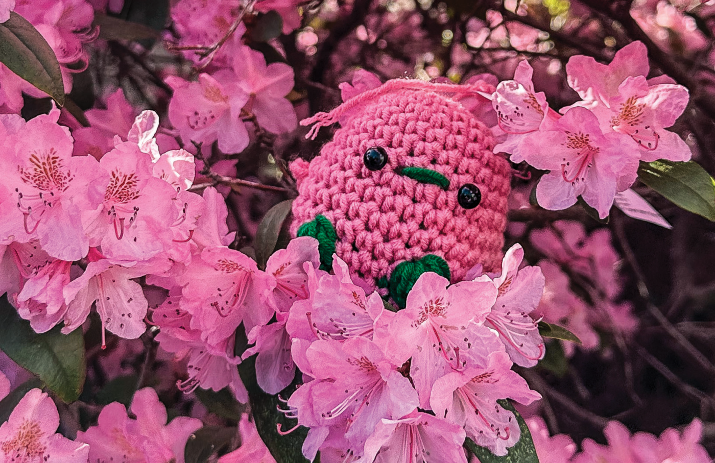 Image of a pink crocheted bird hiding in pink rhododendron flowers