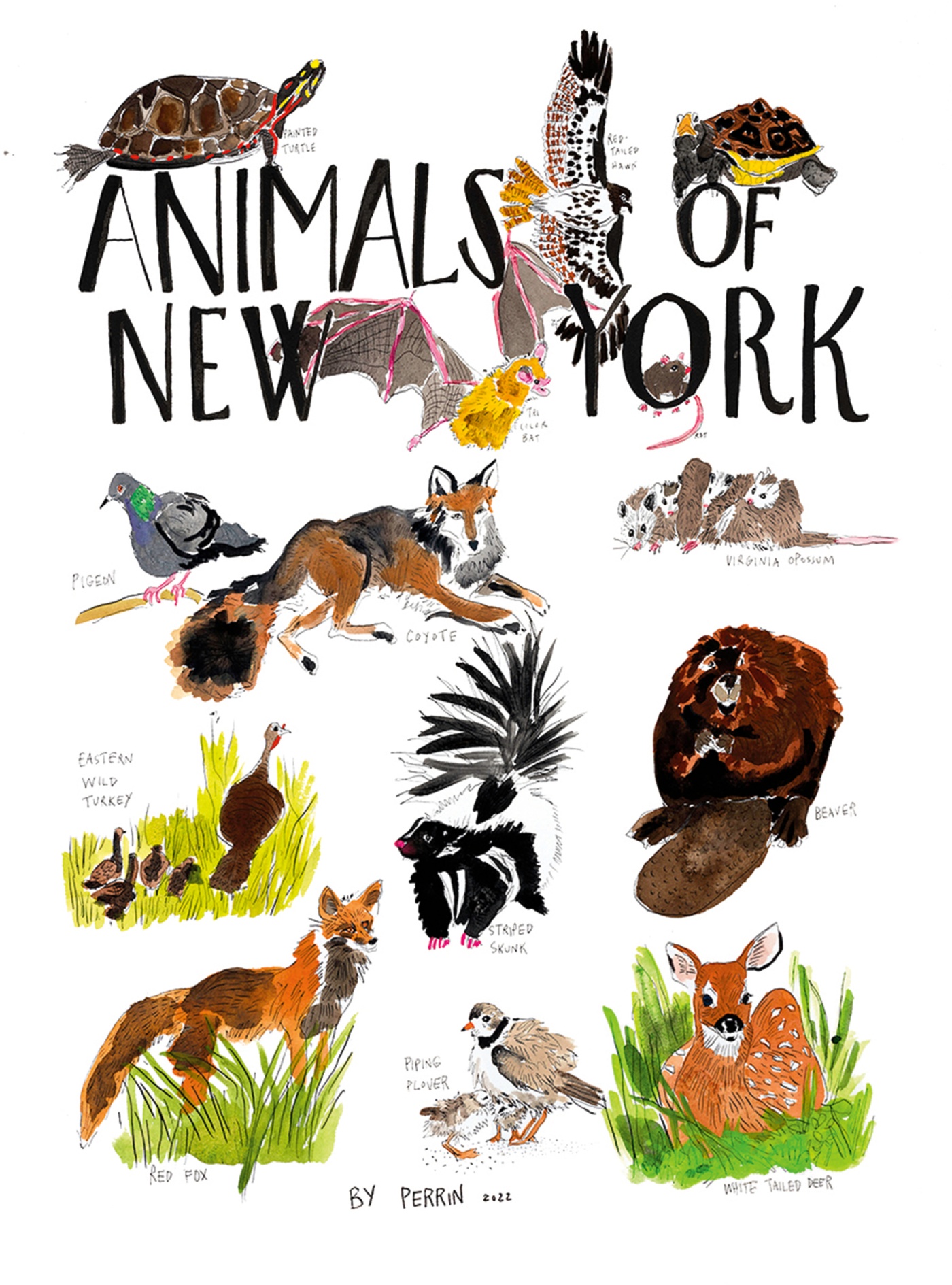 illustrated poster featuring animals of NYC