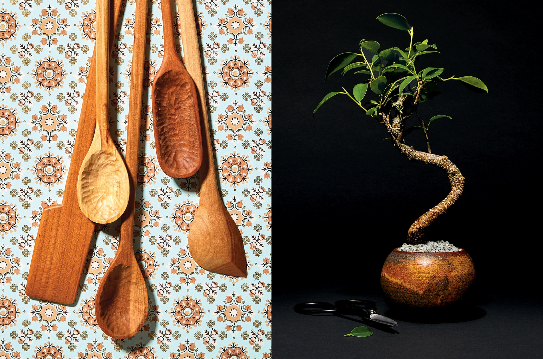 side by side photos of wooden spoons and a bonsai plant