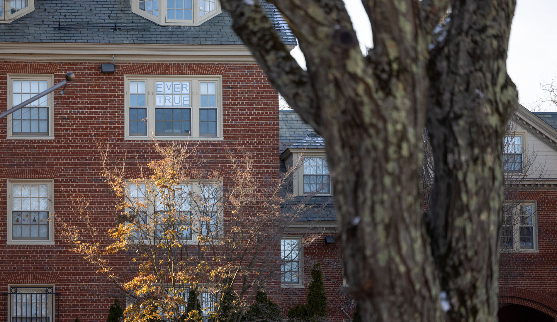 Image of a window with "Ever True" printed on it.