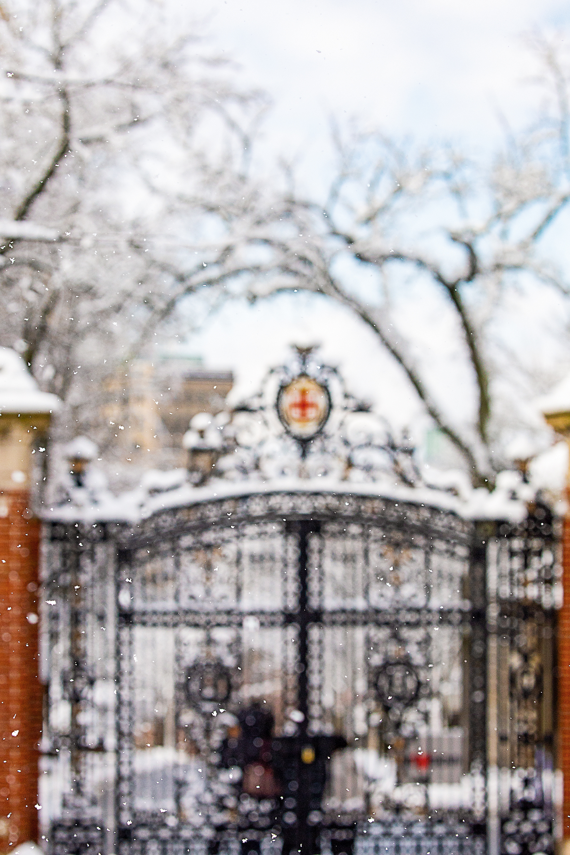photo of the Van Wickle gates in light snow