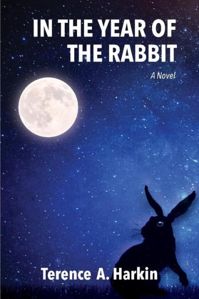 rabbit at night