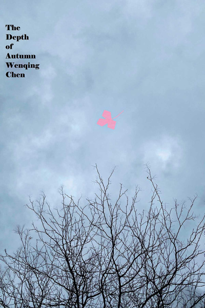 The Depth of Autumn book cover