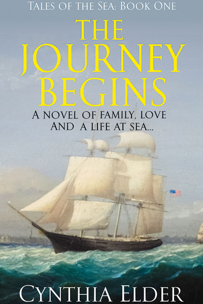 cover of The Journey Begins book