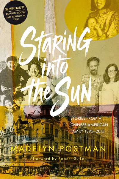 cover of the book Staring into the Sun