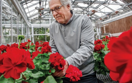 Jackson, director of Brown’s Plant Environmental Center, with his hand-tended Commencement geraniums