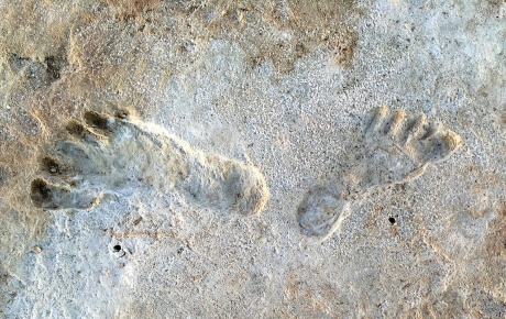 Image of ancient footprints in New Mexico