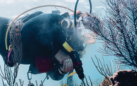 Image of Katey Lesneski underwater planting fragments of coral in a Bahamas reef.
