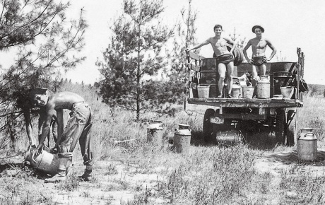 Image of a worker for the Civilian Conservation Corps watering a recently planted pine tree at the University of Wisconsin Arboretum in 1936.